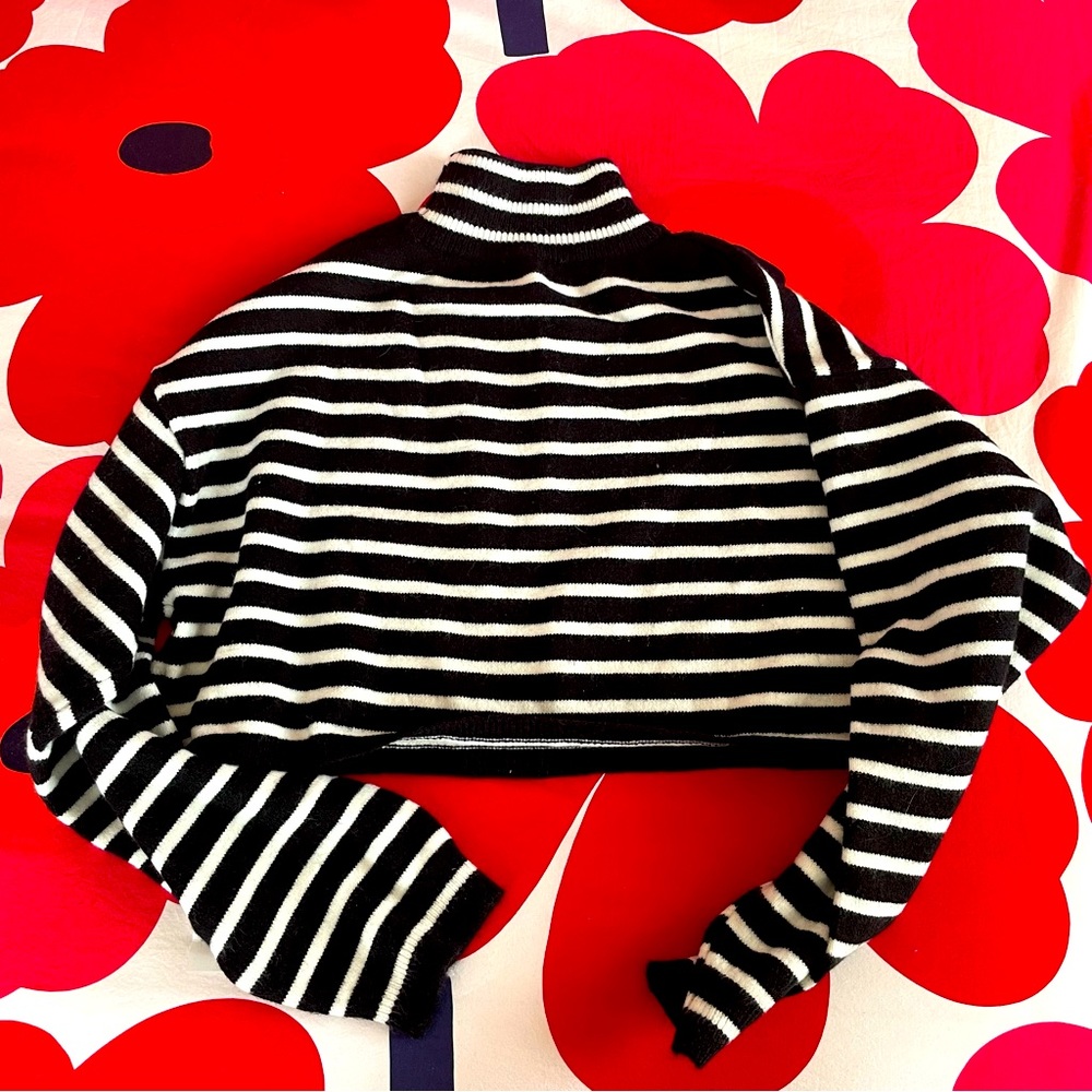Striped Cropped Cider Sweater